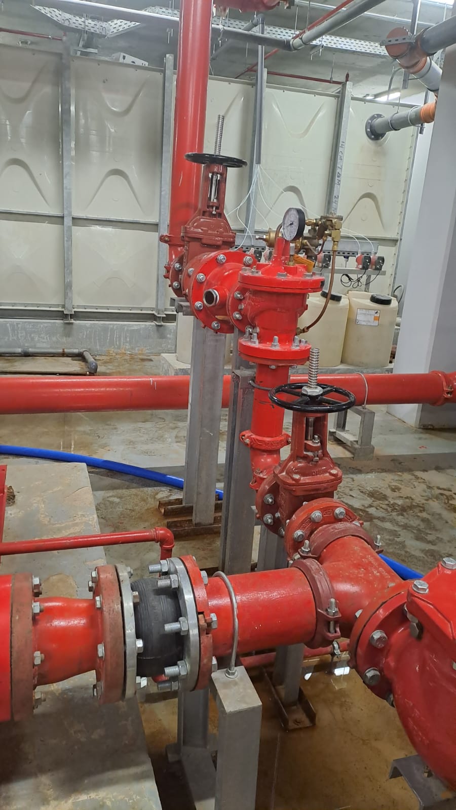 Novaroots Project 26